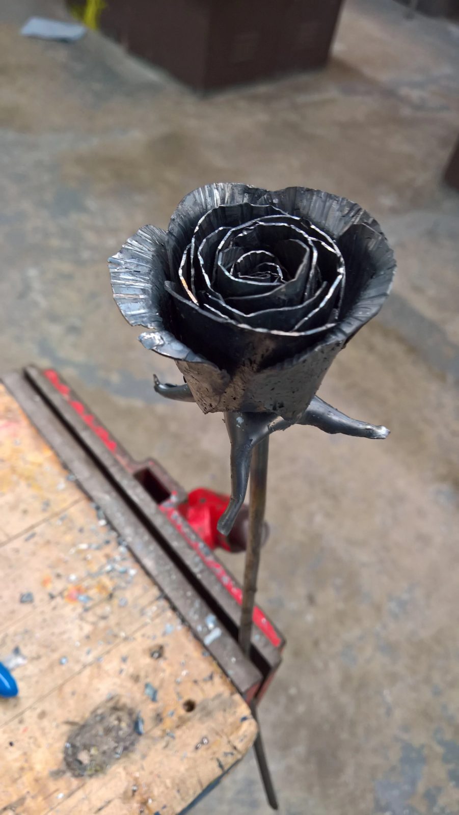 roses