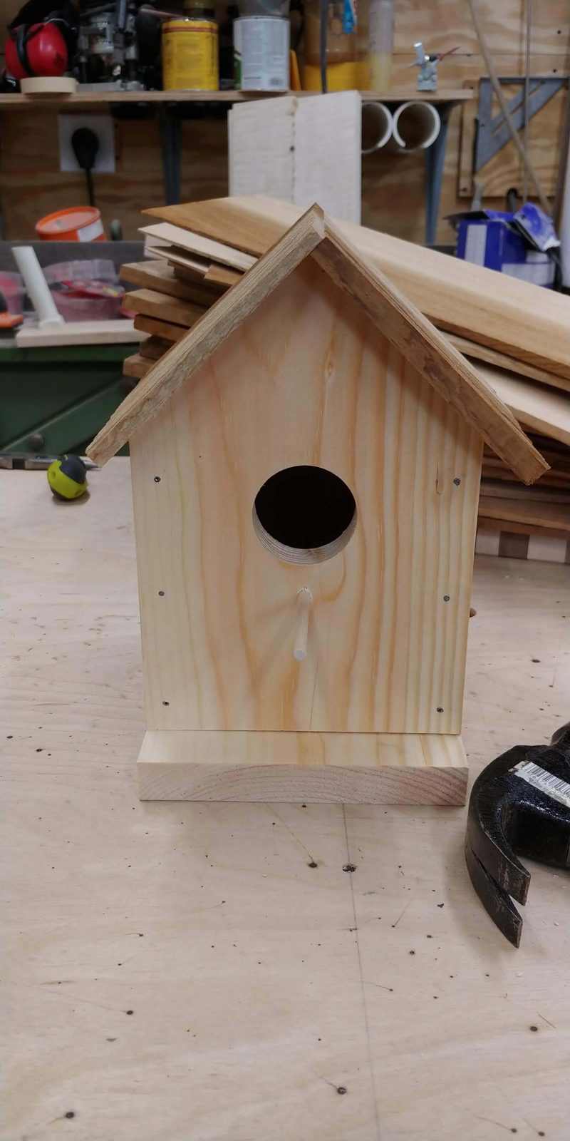 Bird House Kit