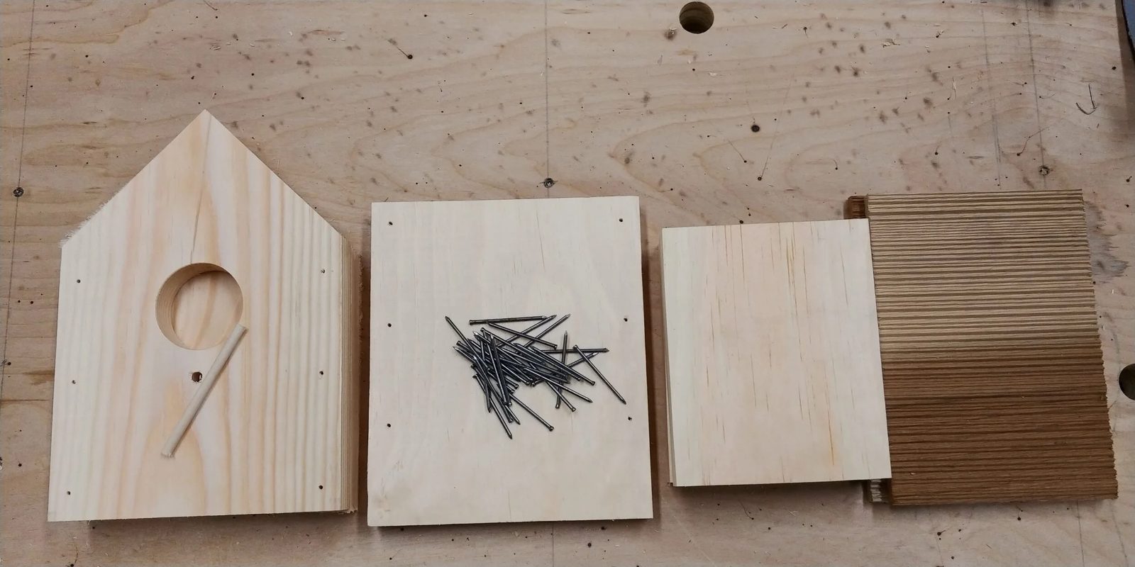 Bird House Kit