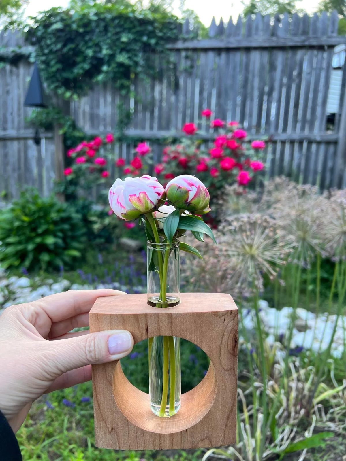 A small hardwood bud vase held up in a summer garden, holding two peonies